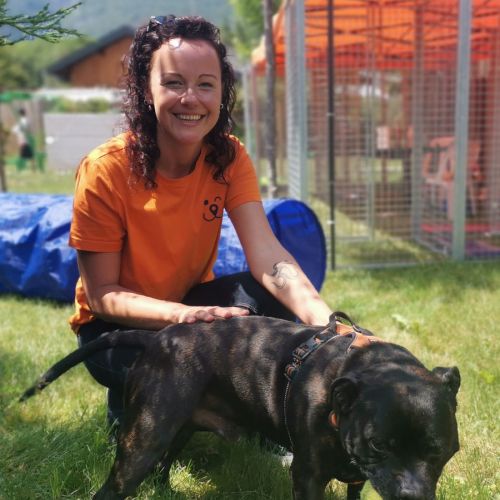Patchguard, Garderie pour Chien et Dog Sitting