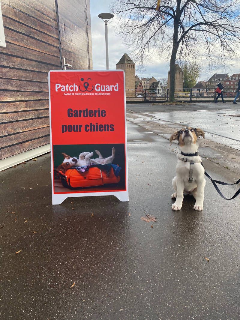 PatchGuard - Garderie pour chiens PatchGuard - Garderie pour chiens